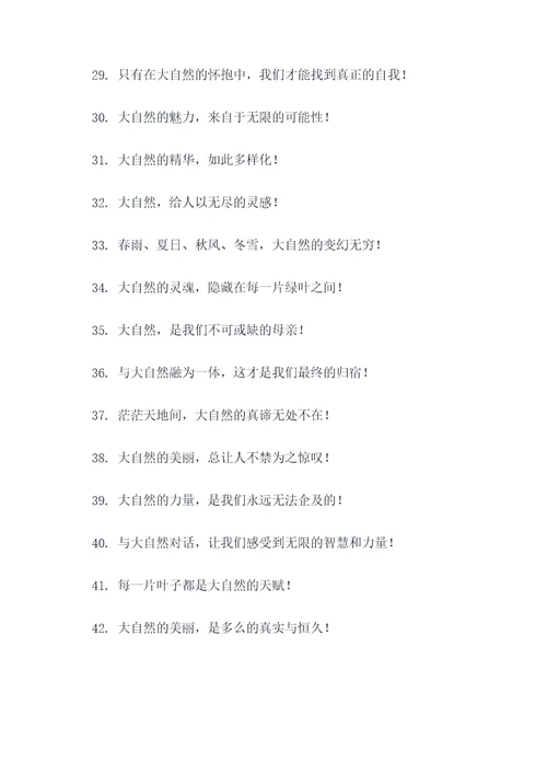 赞美大自然风光的标语
