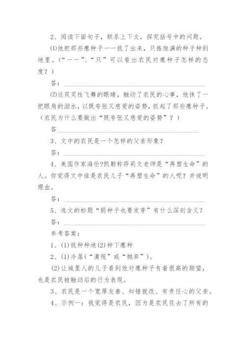 《弱种子也要发芽》阅读参考答案.docx