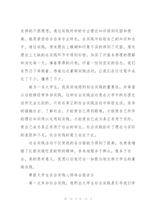 寒假大学生社会实践心得体会报告.docx