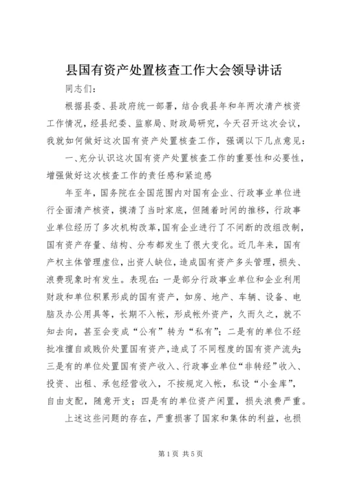 县国有资产处置核查工作大会领导讲话.docx