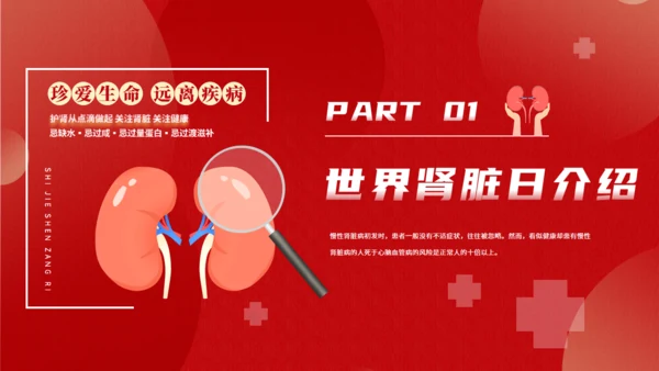 世界肾脏日慢性肾脏病通用PPT模板
