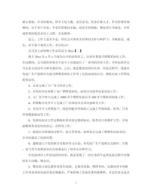 精编之公司员工试用期工作总结范文2.docx