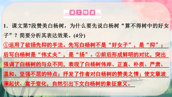 15《白杨礼赞》课件
