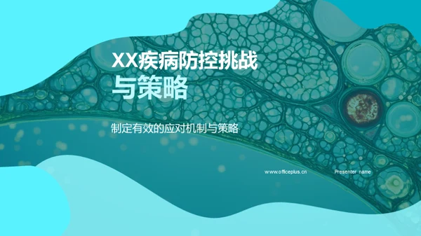 XX疾病防控挑战与策略