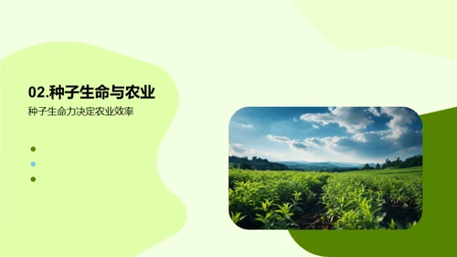 种子生命力研究