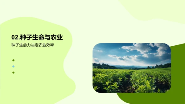 种子生命力研究