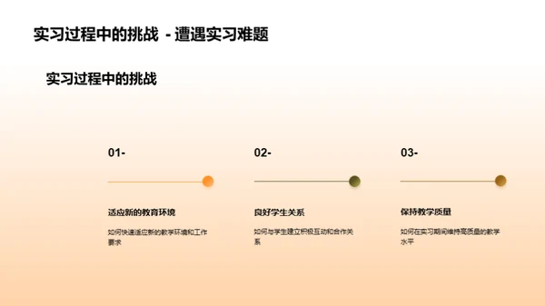 教育领域实习全景