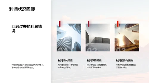 公司历程与前瞻