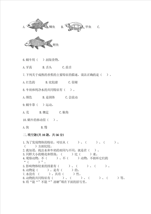 教科版一年级下册科学期末测试卷精品基础题