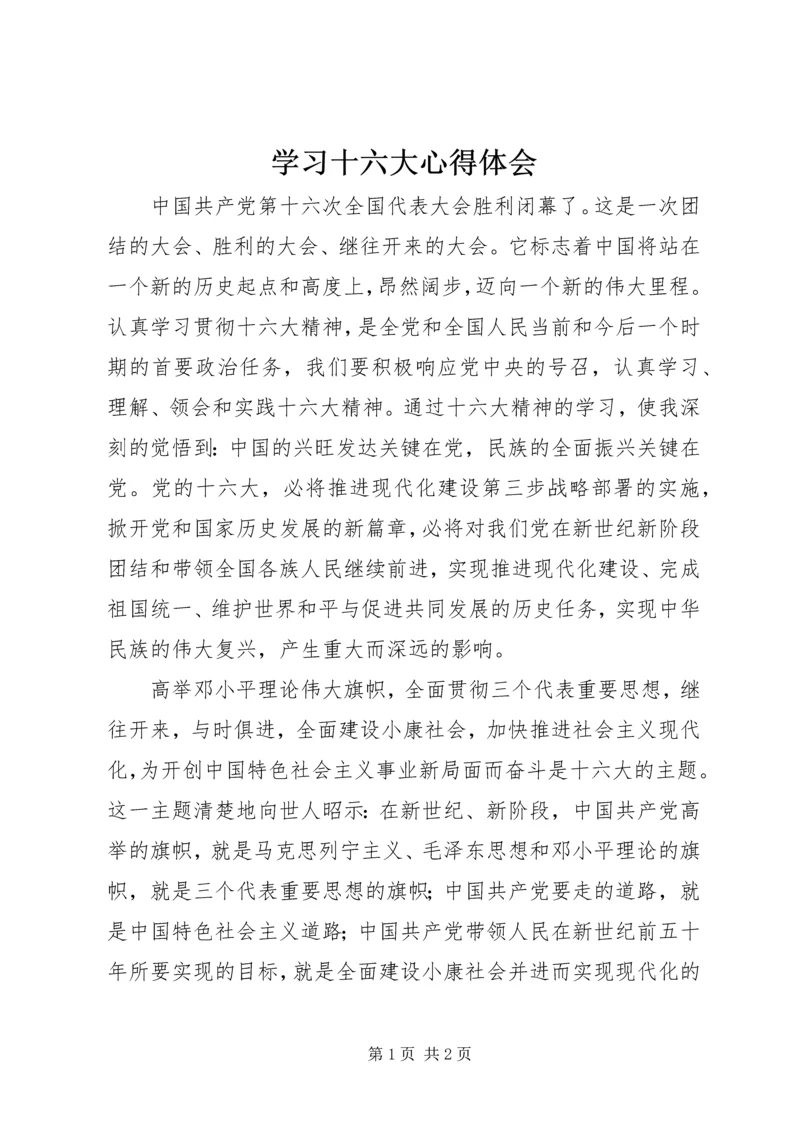 学习十六大心得体会 (2).docx