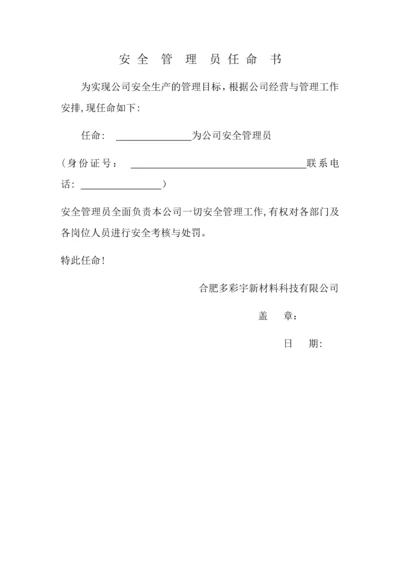 安全管理员任命书.docx