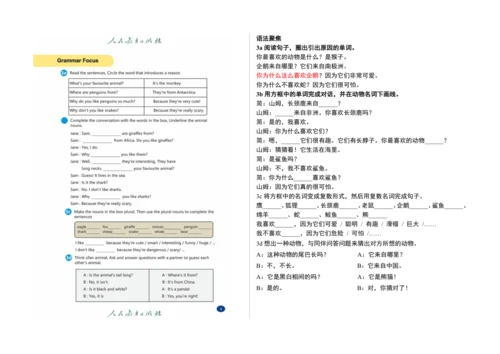 【课堂笔记】Unit 1 Animal Friends课文翻译与知识点解析讲义-2025春新人教七下