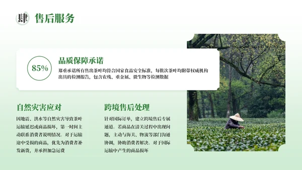 绿色茶产品介绍宣传PPT模板