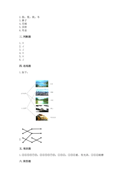 教科版二年级上册科学期末测试卷附完整答案（典优）.docx