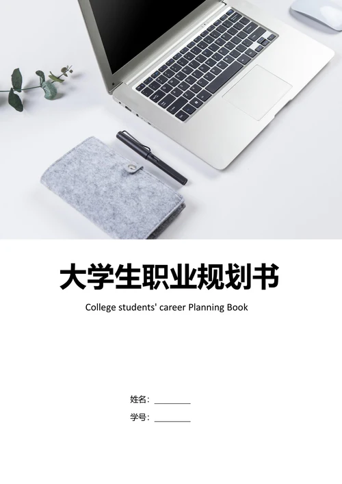 财务管理大学生职业生涯规划书