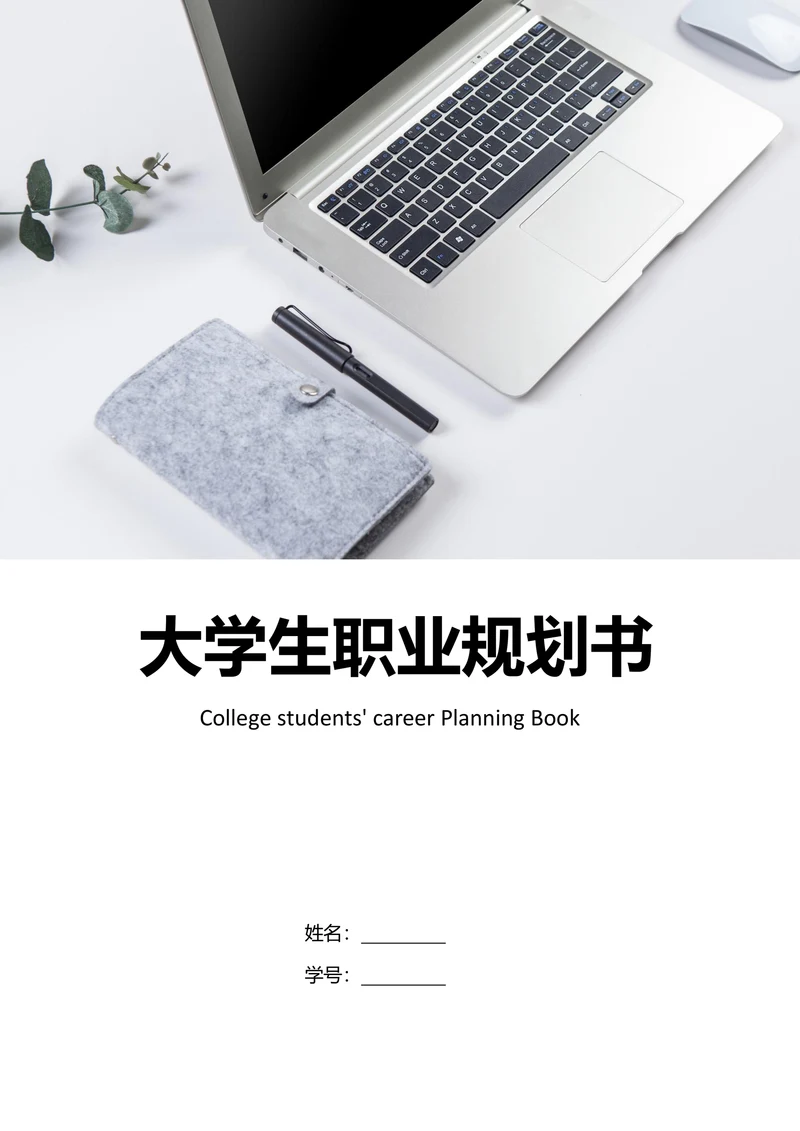 财务管理大学生职业生涯规划书