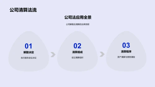 公司法运用及影响PPT模板