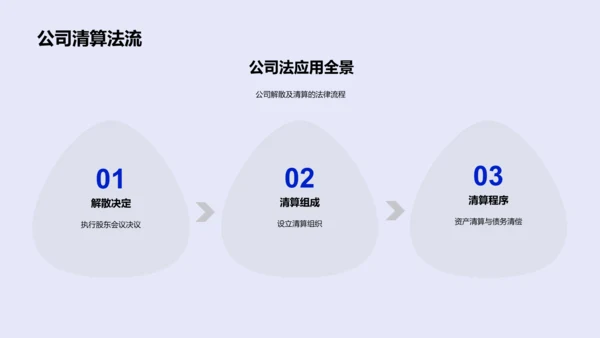 公司法运用及影响PPT模板