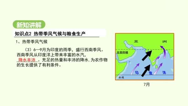 8.3 印度（课件35张）-2024-2025学年七年级地理下学期人教版(2024)