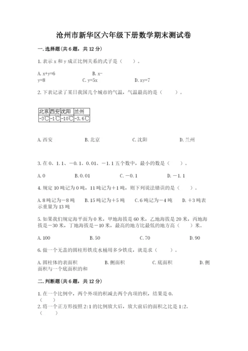 沧州市新华区六年级下册数学期末测试卷及答案参考.docx