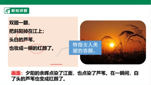3.现代诗二首 秋晚的江上 课件