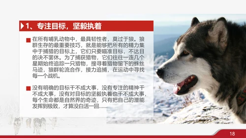 狼性文化企业培训PPT模板