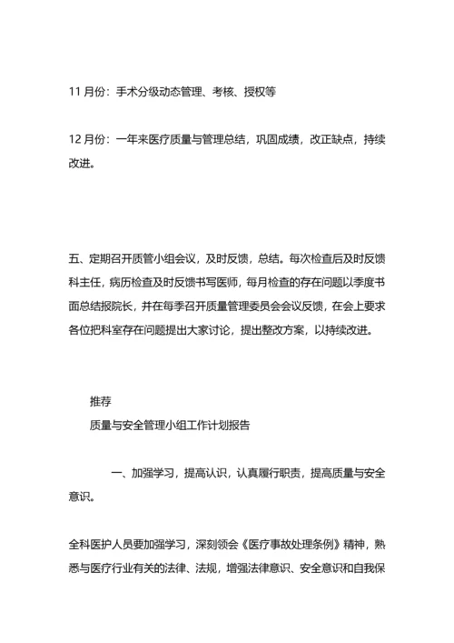 医疗质量与安全管理小组工作计划范例.docx