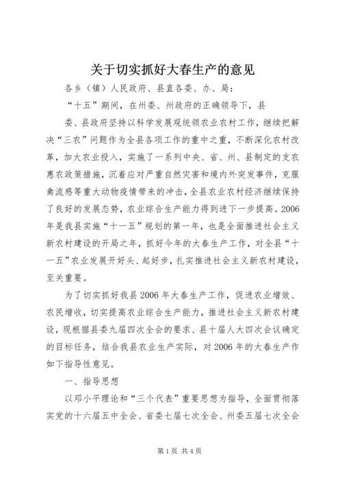 关于切实抓好大春生产的意见 (2).docx