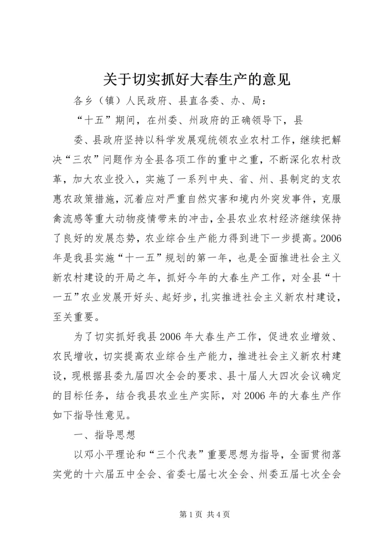 关于切实抓好大春生产的意见 (2).docx