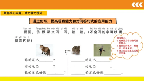 6 比尾巴  课件