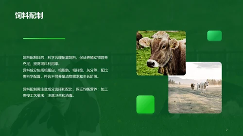 绿色现代养殖流程管理与疾病预防PPT模板