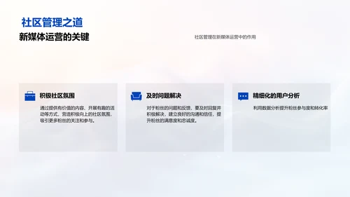 粉丝经济运营PPT模板