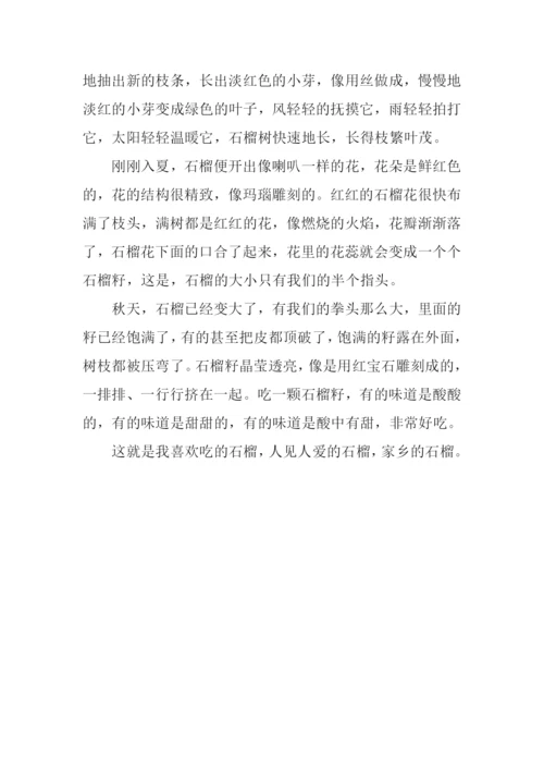 家乡的水果作文.docx