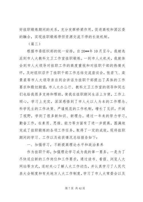 挂职锻炼个人总结（10篇）.docx