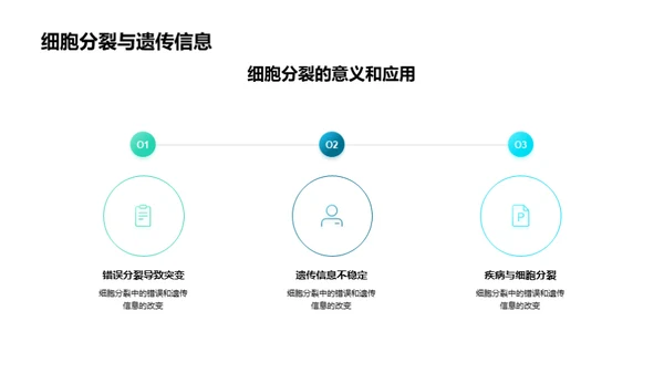 揭秘细胞分裂的奇妙之旅