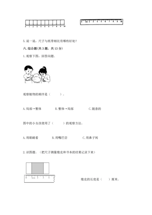 教科版一年级上册科学期末测试卷及答案一套.docx