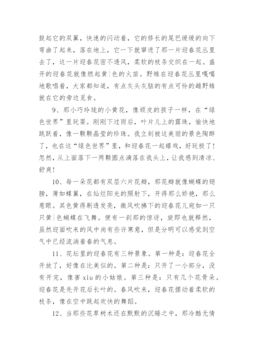 描写迎春花的优美句段.docx