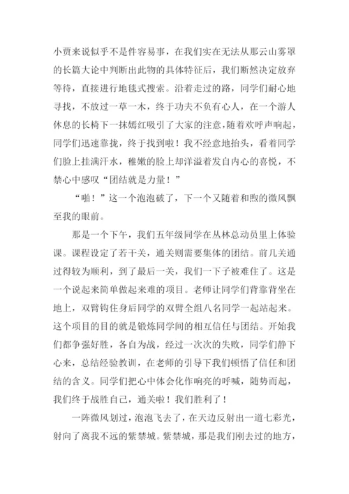 难忘的小学生活作文800字-1.docx