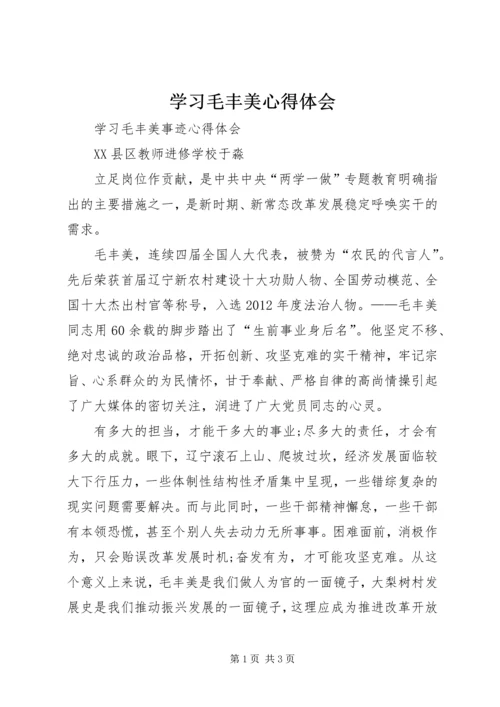 学习毛丰美心得体会 (3).docx