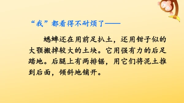 11 蟋蟀的住宅  课件