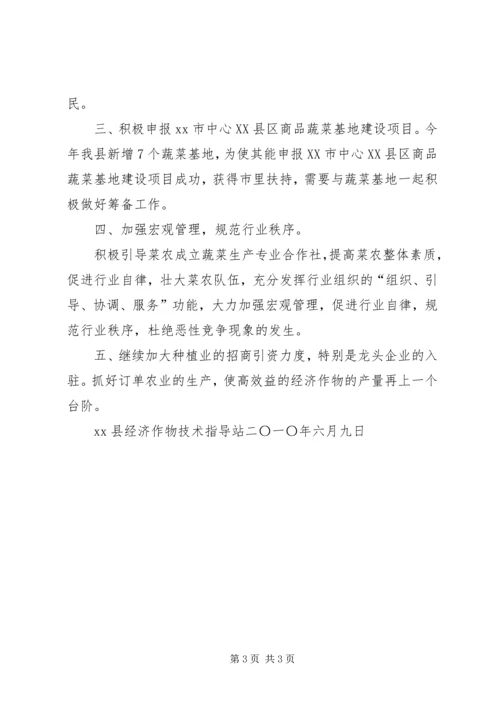 经作站上半年工作总结及下半年工作计划.docx