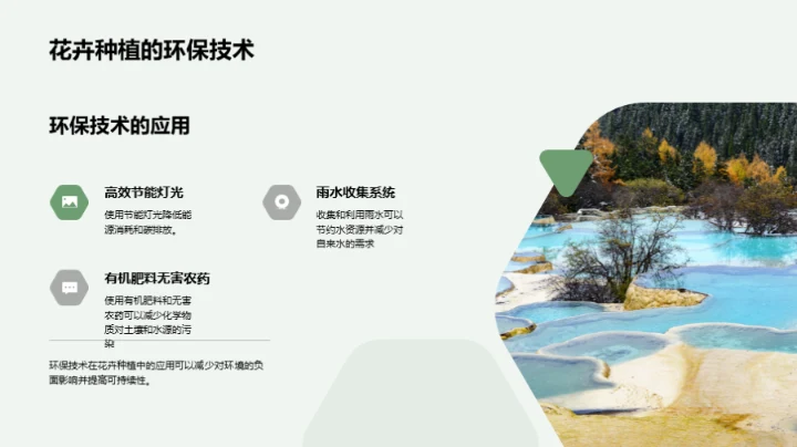 环保之花：可持续种植