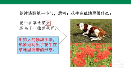 3-现代诗二首-花牛歌  课件