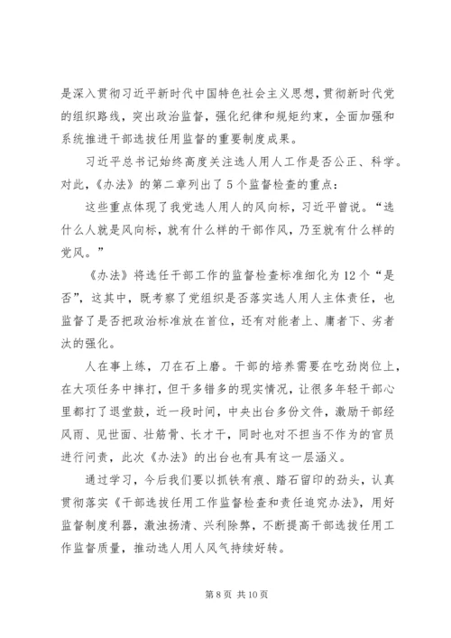 学习《干部选拔任用工作监督检查和责任追究办法》心得体会七篇.docx