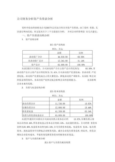 公司财务分析范文之资产负债表分析