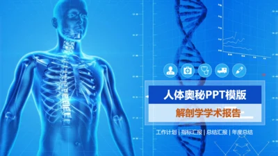 人体奥秘医学解剖学学术论文通用PPT模版