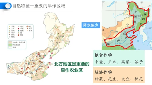 6.1自然特征与农业（课件28张）-人教版地理八年级下册