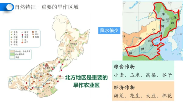 6.1自然特征与农业（课件28张）-人教版地理八年级下册