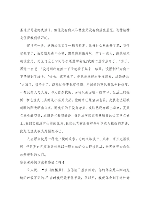 寒假课外阅读读书感悟心得