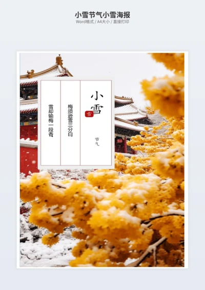 小雪节气小雪海报